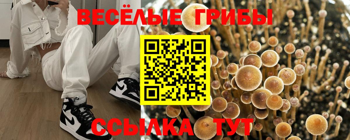 Дзержинский  Галлюциногенные грибы мухоморы  Галлюциногенные грибы Magic Shrooms  Вход с VPN 